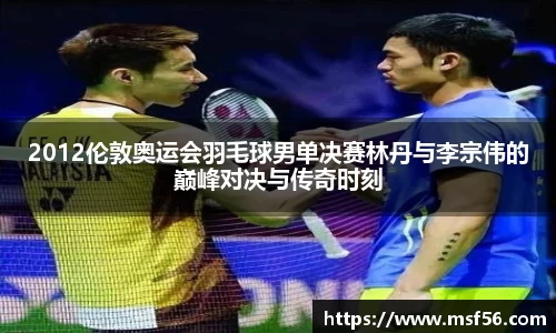 2012伦敦奥运会羽毛球男单决赛林丹与李宗伟的巅峰对决与传奇时刻