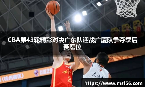 凤凰联盟首页官网